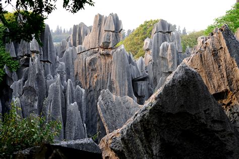 Stone Forest - Gigantyczne formacje skalne i tajemnicza aura