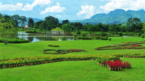 Xishuangbanna Tropical Botanical Garden: Oaza zieleni i niezapomniane doświadczenia w Xishuangbanna!